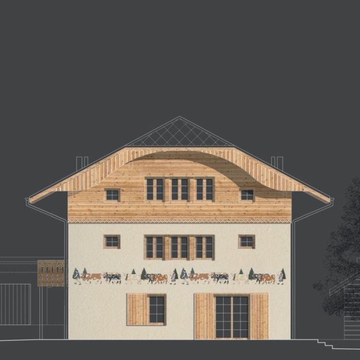Colocation de 4 jeunes adultes avec plusieurs handicaps dans une maison inclusive à Château d'Oex
