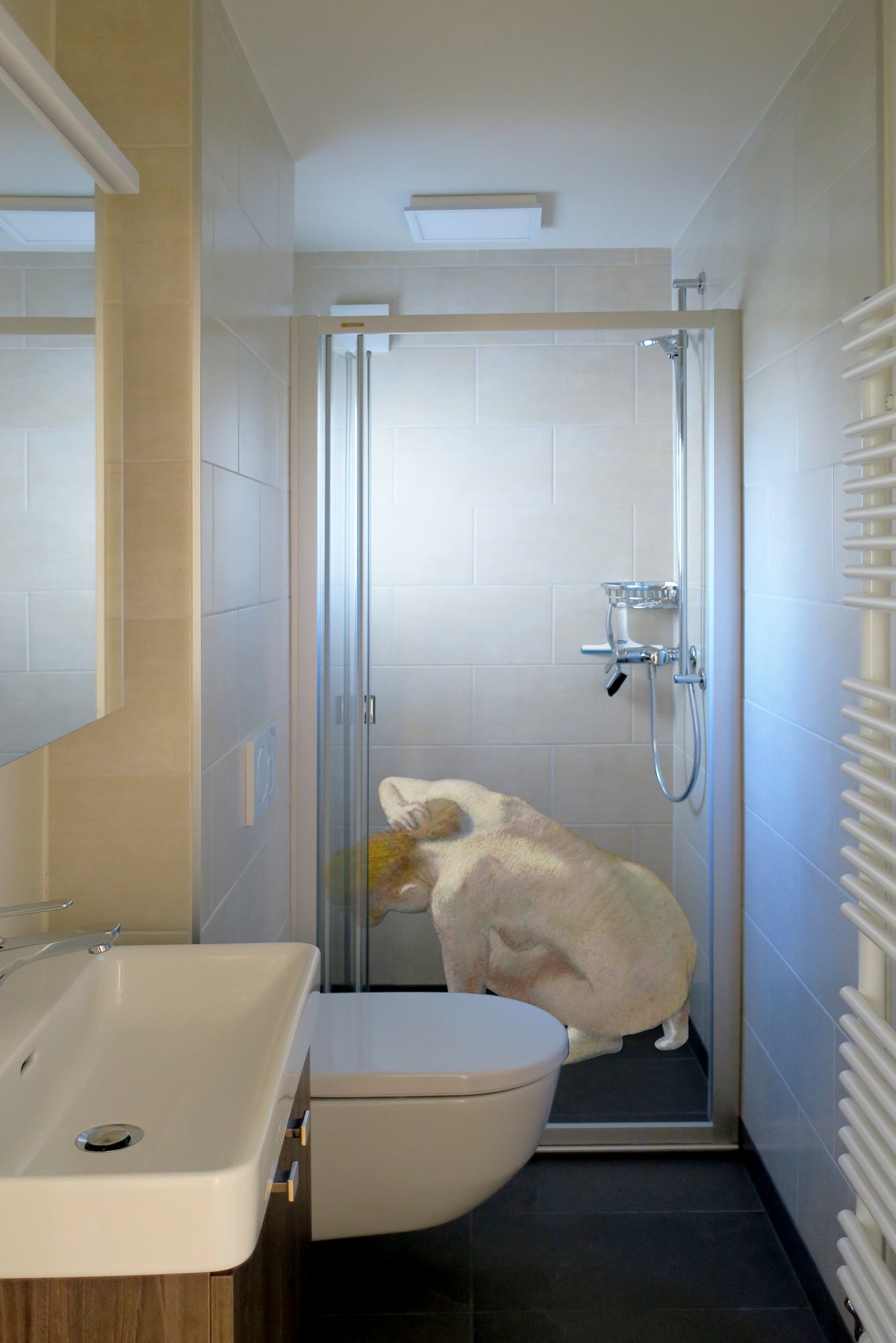 transformation des bureaux en un appartement à Bex: création d'une salle de douche